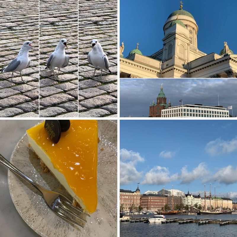 Helsinki: Tuomio Kirkko, Fazer Törtchen, Möwe, Hafen